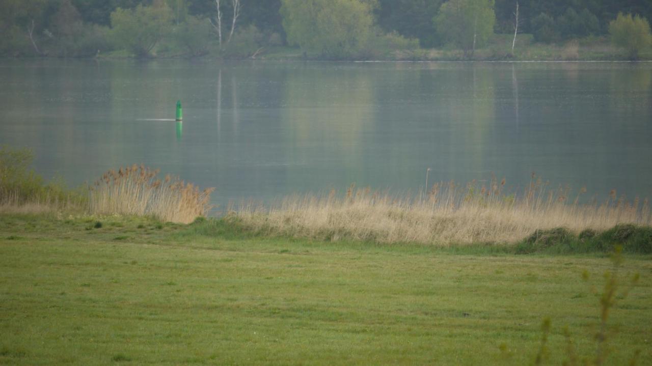 Apartament Elbe Ferien Marschacht Zewnętrze zdjęcie