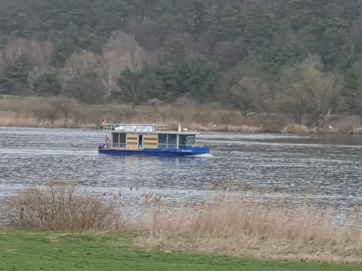 Apartament Elbe Ferien Marschacht Zewnętrze zdjęcie